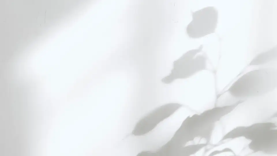 milad fakurian uqp7u400azs unsplash